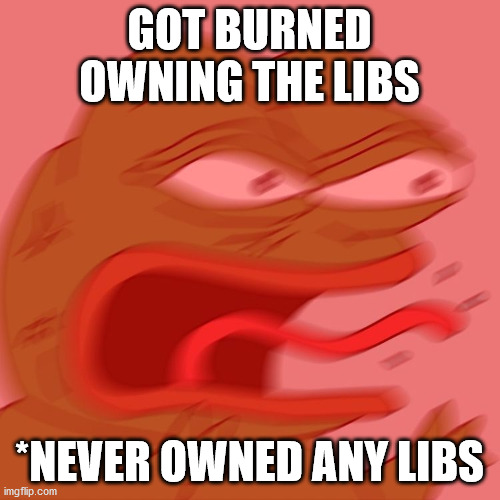 GOT BURNED OWNING THE LIBS *NEVER OWNED ANY LIBS | made w/ Imgflip meme maker