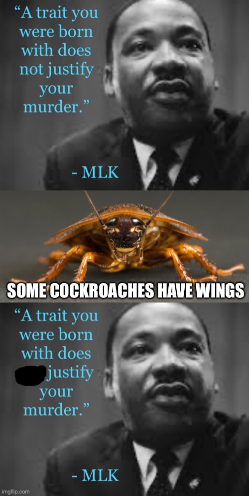 NOT A REAL QUOTE | SOME COCKROACHES HAVE WINGS | image tagged in cockroach,mlk,martin luther king jr,memes,funny,quotes | made w/ Imgflip meme maker