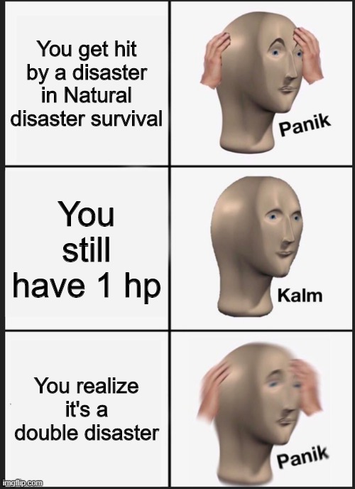 Roblox Natural Disaster Survival Memes