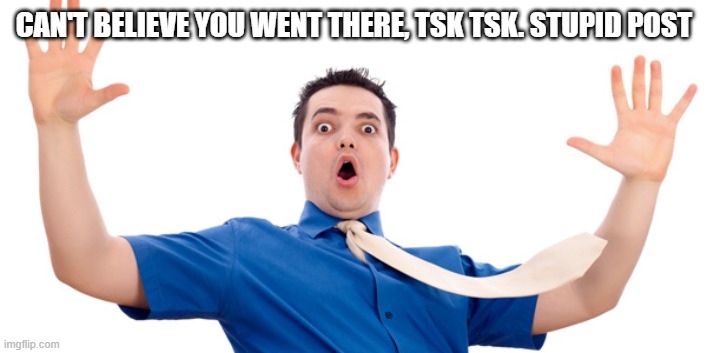 CAN'T BELIEVE YOU WENT THERE, TSK TSK. STUPID POST | made w/ Imgflip meme maker