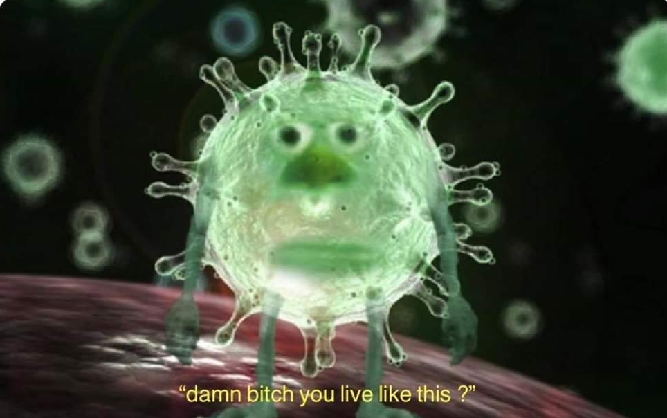 Corona virus Blank Meme Template