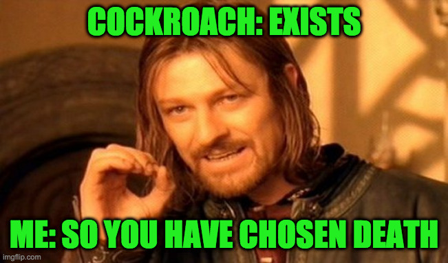 One Does Not Simply | COCKROACH: EXISTS; ME: SO YOU HAVE CHOSEN DEATH | image tagged in memes,one does not simply | made w/ Imgflip meme maker
