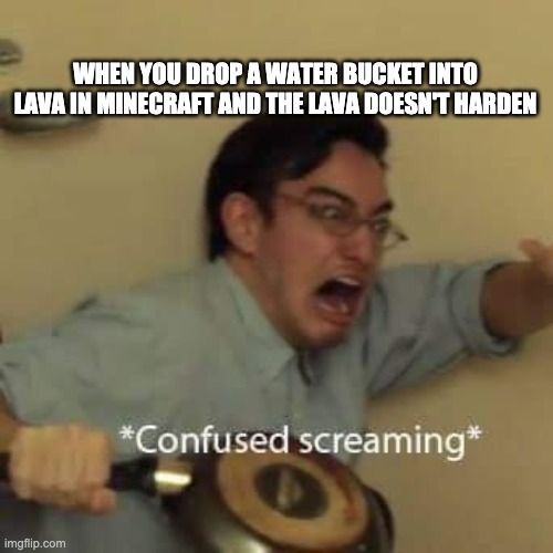filthy frank confused scream | WHEN YOU DROP A WATER BUCKET INTO LAVA IN MINECRAFT AND THE LAVA DOESN'T HARDEN | image tagged in filthy frank confused scream | made w/ Imgflip meme maker