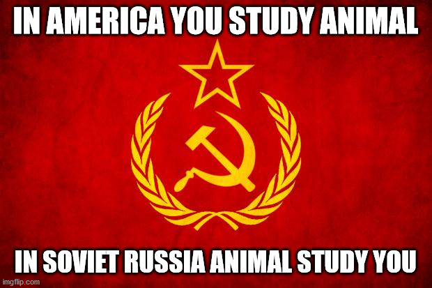 In Soviet Russia | IN AMERICA YOU STUDY ANIMAL; IN SOVIET RUSSIA ANIMAL STUDY YOU | image tagged in in soviet russia | made w/ Imgflip meme maker