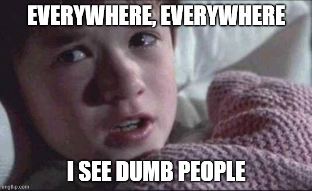 I See Dead People | EVERYWHERE, EVERYWHERE; I SEE DUMB PEOPLE | image tagged in memes,i see dead people | made w/ Imgflip meme maker