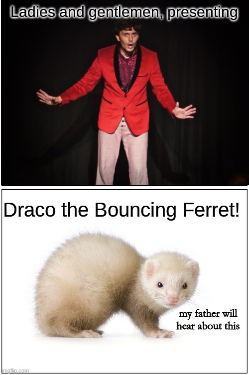 draco the bouncing ferret | Ladies and gentlemen, presenting; Draco the Bouncing Ferret! my father will hear about this | image tagged in memes,harry potter,draco malfoy,ferret,bouncing,show | made w/ Imgflip meme maker