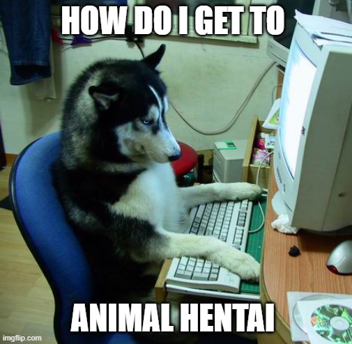 I Have No Idea What I Am Doing | HOW DO I GET TO; ANIMAL HENTAI | image tagged in memes,i have no idea what i am doing | made w/ Imgflip meme maker