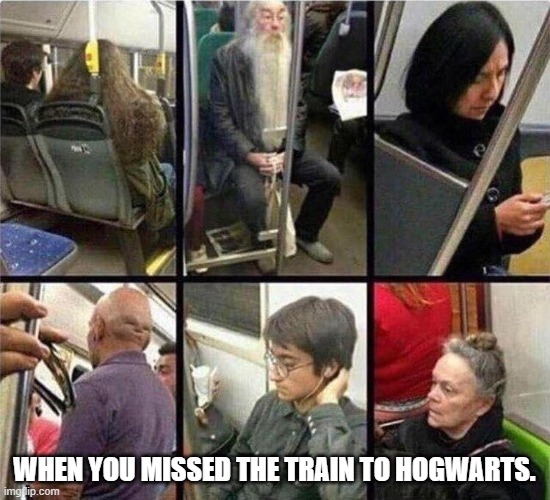 WHEN YOU MISSED THE TRAIN TO HOGWARTS. | image tagged in harry potter | made w/ Imgflip meme maker