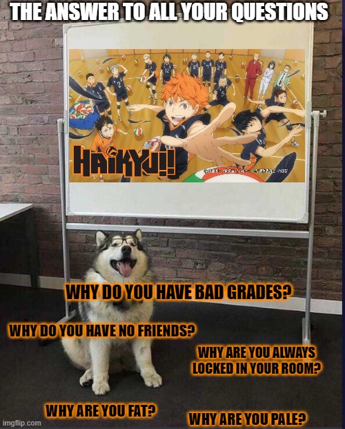 Presentation Dog |  THE ANSWER TO ALL YOUR QUESTIONS; WHY DO YOU HAVE BAD GRADES? WHY DO YOU HAVE NO FRIENDS? WHY ARE YOU ALWAYS LOCKED IN YOUR ROOM? WHY ARE YOU FAT? WHY ARE YOU PALE? | image tagged in presentation dog | made w/ Imgflip meme maker