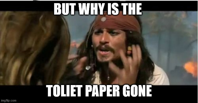 Why Is The Rum Gone |  BUT WHY IS THE; TOLIET PAPER GONE | image tagged in memes,why is the rum gone | made w/ Imgflip meme maker