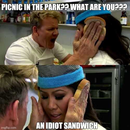Gordon Ramsay Idiot Sandwich | PICNIC IN THE PARK?? WHAT ARE YOU??? AN IDIOT SANDWICH | image tagged in gordon ramsay idiot sandwich | made w/ Imgflip meme maker