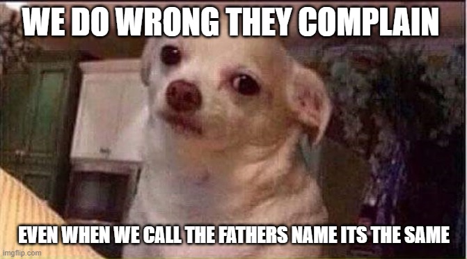 Seriously Dog | WE DO WRONG THEY COMPLAIN; EVEN WHEN WE CALL THE FATHERS NAME ITS THE SAME | image tagged in seriously dog | made w/ Imgflip meme maker