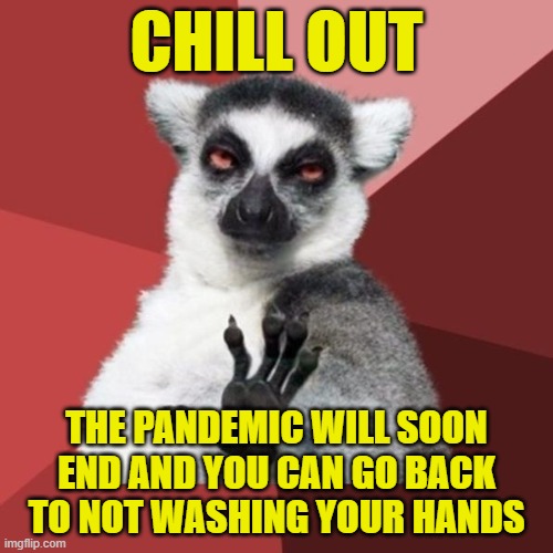 Pandemic Chill Out |  CHILL OUT; THE PANDEMIC WILL SOON END AND YOU CAN GO BACK TO NOT WASHING YOUR HANDS | image tagged in memes,chill out lemur,pandemic,covid19,wash your hands,hysteria | made w/ Imgflip meme maker