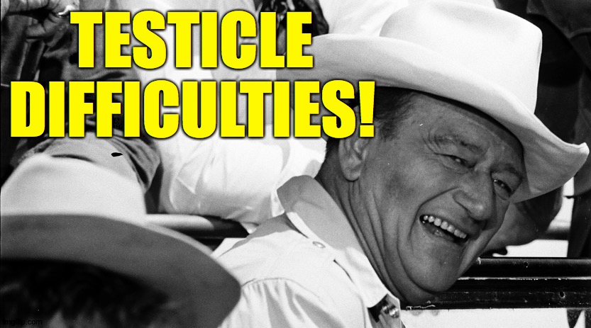 TESTICLE DIFFICULTIES! | made w/ Imgflip meme maker