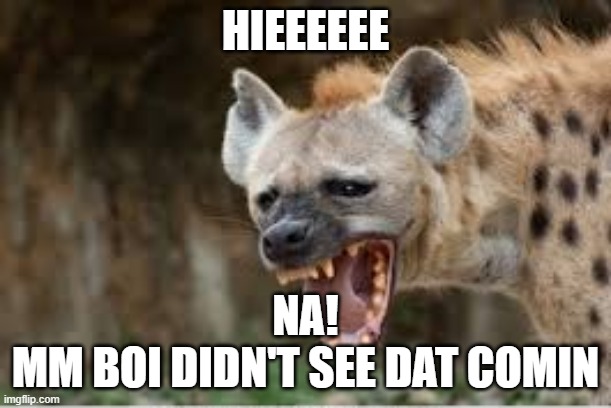 henia | HIEEEEEE; NA!
MM BOI DIDN'T SEE DAT COMIN | image tagged in funny meme | made w/ Imgflip meme maker