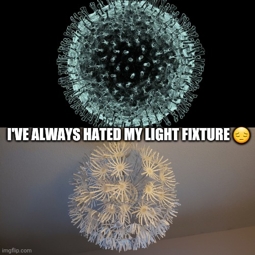 Corona light (COVID-19) | I'VE ALWAYS HATED MY LIGHT FIXTURE 😔 | image tagged in coronavirus,covid-19,corona,corona virus | made w/ Imgflip meme maker