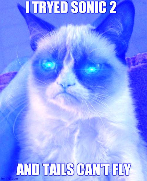 Grumpy Cat Meme | I TRYED SONIC 2; AND TAILS CAN'T FLY | image tagged in memes,grumpy cat | made w/ Imgflip meme maker