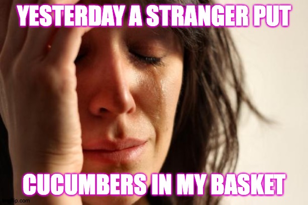 A true story of market basket violation. | YESTERDAY A STRANGER PUT; CUCUMBERS IN MY BASKET | image tagged in memes,first world problems,true story | made w/ Imgflip meme maker