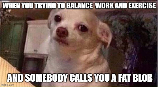 Seriously Dog | WHEN YOU TRYING TO BALANCE  WORK AND EXERCISE; AND SOMEBODY CALLS YOU A FAT BLOB | image tagged in seriously dog | made w/ Imgflip meme maker