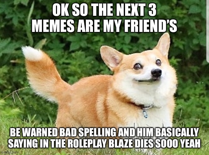 Ibeliveicandie if you read this read the comment on one of these recent memes | OK SO THE NEXT 3 MEMES ARE MY FRIEND’S; BE WARNED BAD SPELLING AND HIM BASICALLY SAYING IN THE ROLEPLAY BLAZE DIES SOOO YEAH | image tagged in ok boomer corgi,dont get mad,sorry | made w/ Imgflip meme maker