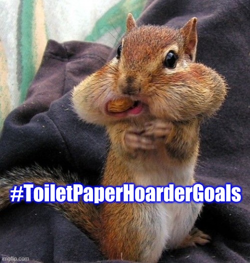 Toilet Paper Hoarder Goals | #ToiletPaperHoarderGoals | image tagged in hoarding squirrel,squirrel,coronavirus,toilet paper,goals,pandemic | made w/ Imgflip meme maker