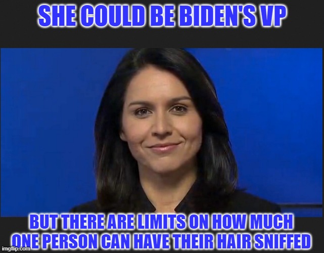 Tulsi Gabbard | SHE COULD BE BIDEN'S VP; BUT THERE ARE LIMITS ON HOW MUCH ONE PERSON CAN HAVE THEIR HAIR SNIFFED | image tagged in tulsi gabbard | made w/ Imgflip meme maker