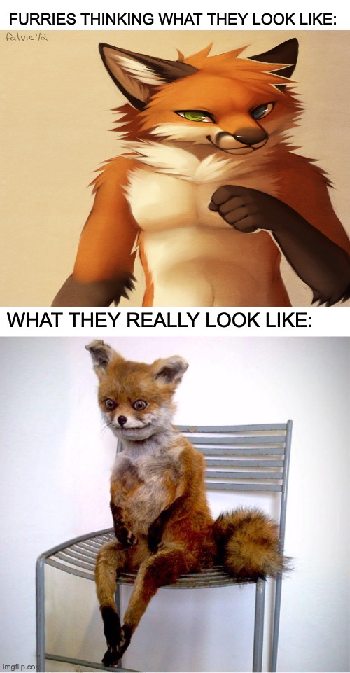 FURRIES THINKING WHAT THEY LOOK LIKE:; WHAT THEY REALLY LOOK LIKE: | image tagged in anti furry | made w/ Imgflip meme maker