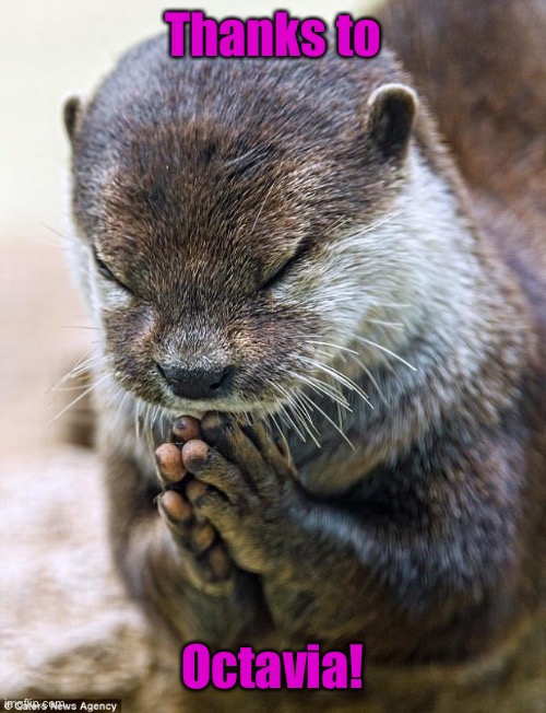 Thank you Lord Otter | Thanks to Octavia! | image tagged in thank you lord otter | made w/ Imgflip meme maker