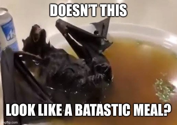 Bat soup | DOESN’T THIS LOOK LIKE A BATASTIC MEAL? | image tagged in bat soup | made w/ Imgflip meme maker