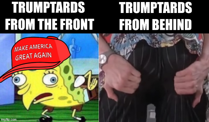 TrumpTards from both ends. | image tagged in politics,memes,funny,spongebob,ace ventura,asstalk | made w/ Imgflip meme maker