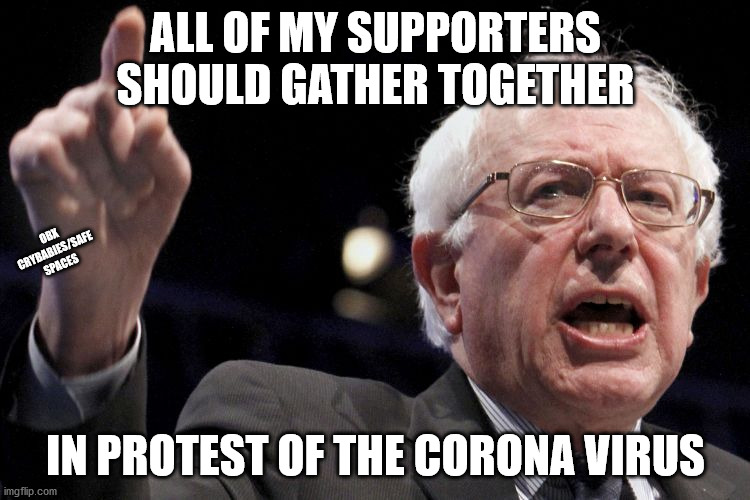 They are stupid enough to do it. | ALL OF MY SUPPORTERS SHOULD GATHER TOGETHER; OBX CRYBABIES/SAFE SPACES; IN PROTEST OF THE CORONA VIRUS | image tagged in bernie sanders,covid19 | made w/ Imgflip meme maker