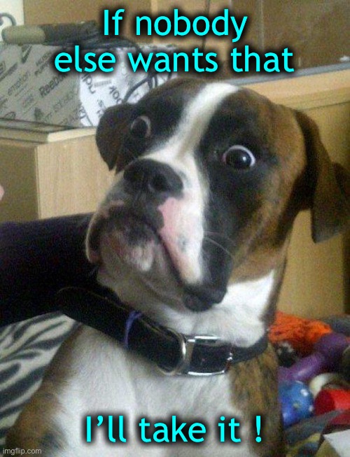 Blankie the Shocked Dog | If nobody else wants that I’ll take it ! | image tagged in blankie the shocked dog | made w/ Imgflip meme maker