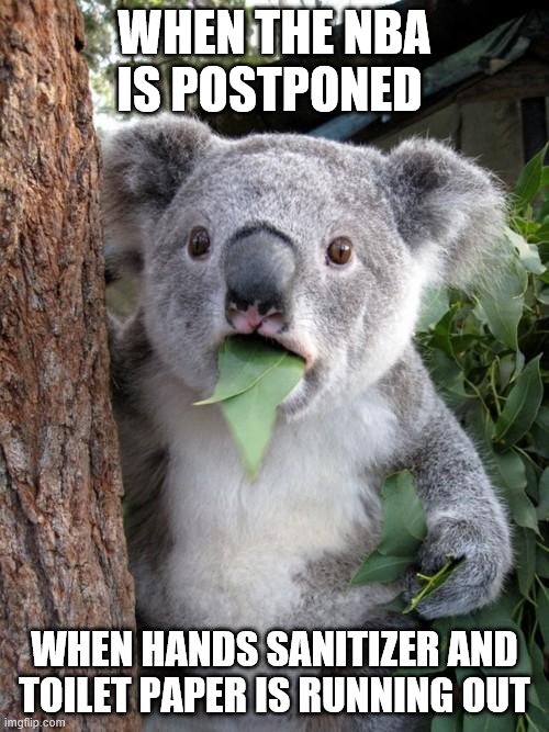 Surprised Koala Meme | WHEN THE NBA IS POSTPONED; WHEN HANDS SANITIZER AND TOILET PAPER IS RUNNING OUT | image tagged in memes,surprised koala | made w/ Imgflip meme maker