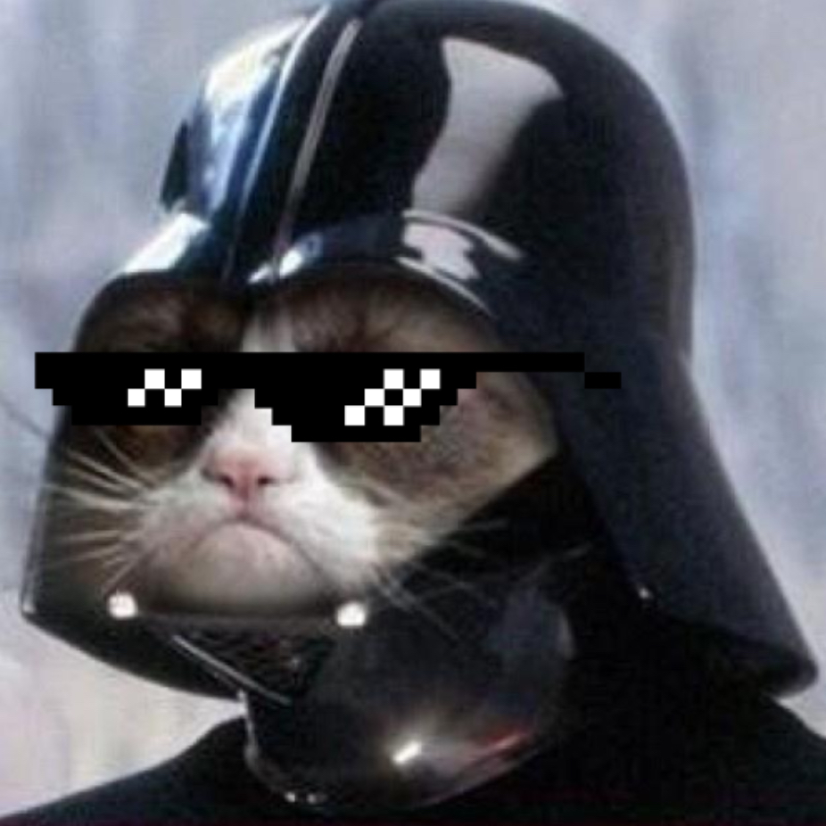 Cool darth Vader cat Blank Meme Template