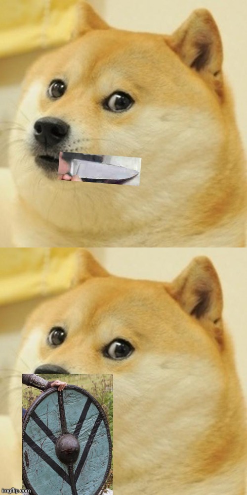 image tagged in memes,doge | made w/ Imgflip meme maker