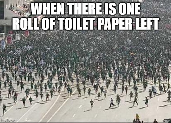 Crowd Rush | WHEN THERE IS ONE ROLL OF TOILET PAPER LEFT | image tagged in crowd rush | made w/ Imgflip meme maker