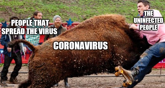 Johnny Knoxville | THE UNINFECTED PEOPLE; PEOPLE THAT SPREAD THE VIRUS; CORONAVIRUS | image tagged in johnny knoxville | made w/ Imgflip meme maker