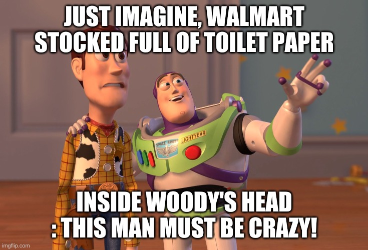 X, X Everywhere | JUST IMAGINE, WALMART STOCKED FULL OF TOILET PAPER; INSIDE WOODY'S HEAD : THIS MAN MUST BE CRAZY! | image tagged in memes,x x everywhere | made w/ Imgflip meme maker