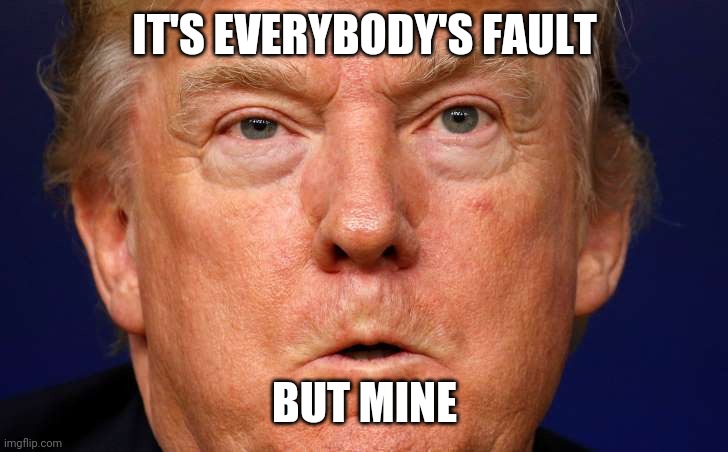 trump angry | IT'S EVERYBODY'S FAULT BUT MINE | image tagged in trump angry | made w/ Imgflip meme maker