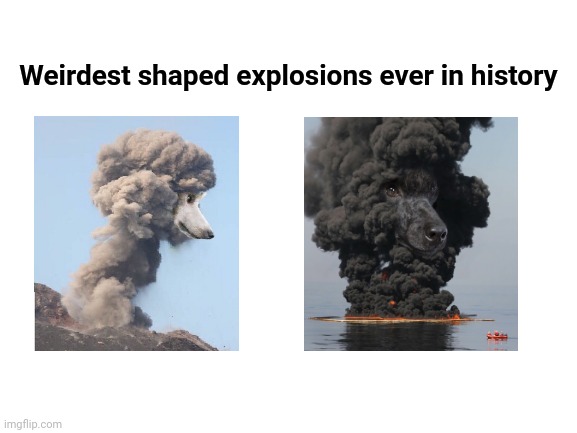 Poodle shaped explosions | Weirdest shaped explosions ever in history | image tagged in blank white template,funny,memes,poodle,explosion,explosions | made w/ Imgflip meme maker