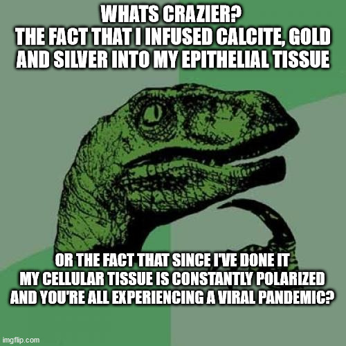 Philosoraptor | WHATS CRAZIER? 
THE FACT THAT I INFUSED CALCITE, GOLD AND SILVER INTO MY EPITHELIAL TISSUE; OR THE FACT THAT SINCE I'VE DONE IT MY CELLULAR TISSUE IS CONSTANTLY POLARIZED AND YOU'RE ALL EXPERIENCING A VIRAL PANDEMIC? | image tagged in memes,philosoraptor | made w/ Imgflip meme maker