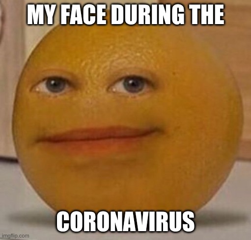 annoy orange | MY FACE DURING THE; CORONAVIRUS | image tagged in annoy orange | made w/ Imgflip meme maker