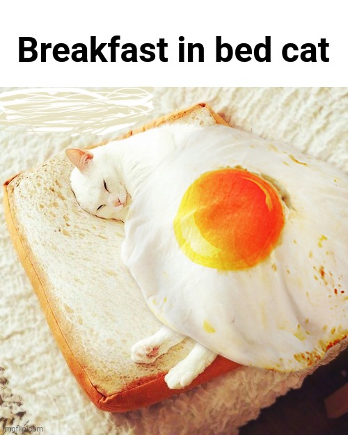 The breakfast in bed cat | Breakfast in bed cat | image tagged in breakfast,cats,memes,eggs,bread,bed | made w/ Imgflip meme maker