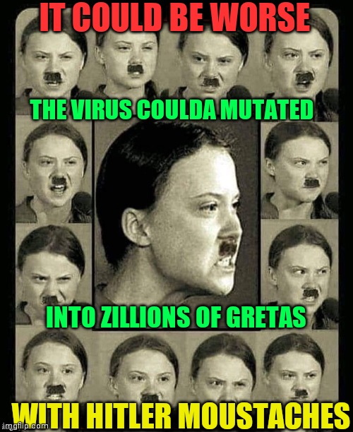 How Dare You Steal my Thunder, Mr. Chinese Virus!? | IT COULD BE WORSE; IT COULD BE WORSE; THE VIRUS COULDA MUTATED; INTO ZILLIONS OF GRETAS; WITH HITLER MOUSTACHES; IT COULD BE THOUSANDS OF GRETAS | image tagged in vince vance,greta thunberg,adolf hitler,hitler,mustache,greta thunberg how dare you | made w/ Imgflip meme maker