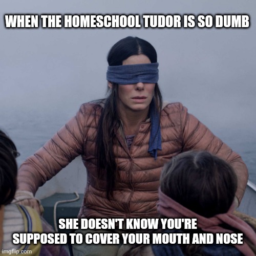 Bird Box Meme | WHEN THE HOMESCHOOL TUDOR IS SO DUMB; SHE DOESN'T KNOW YOU'RE SUPPOSED TO COVER YOUR MOUTH AND NOSE | image tagged in memes,bird box | made w/ Imgflip meme maker