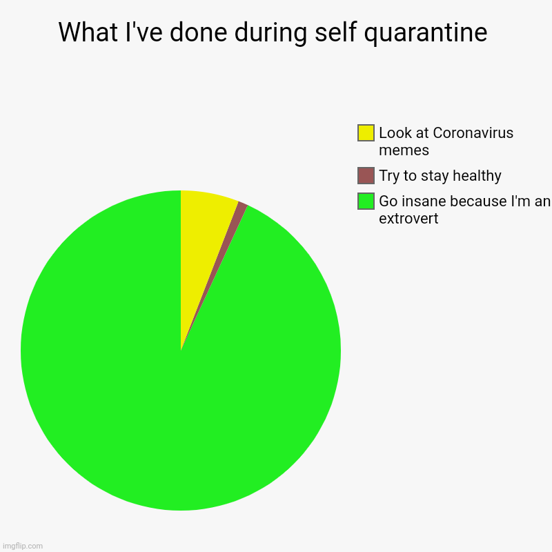 What I've done during self quarantine | Go insane because I'm an extrovert, Try to stay healthy, Look at Coronavirus memes | image tagged in charts,pie charts | made w/ Imgflip chart maker