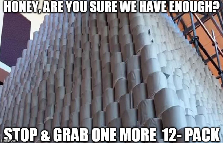 DEFINITELY DON'T WANT TO RUN OUT! | HONEY, ARE YOU SURE WE HAVE ENOUGH? STOP & GRAB ONE MORE  12- PACK | image tagged in running out of tp would suck but if you have 9k rolls your neighbor will need  a few | made w/ Imgflip meme maker