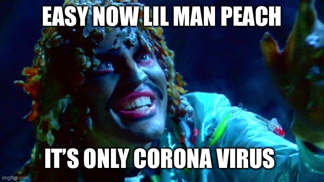 old gregg | EASY NOW LIL MAN PEACH; IT’S ONLY CORONA VIRUS | image tagged in old gregg | made w/ Imgflip meme maker