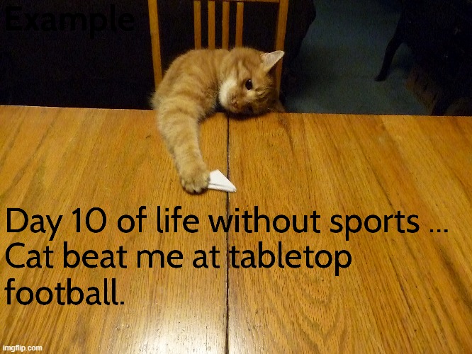 Life without sports... | image tagged in covid-19,cat | made w/ Imgflip meme maker