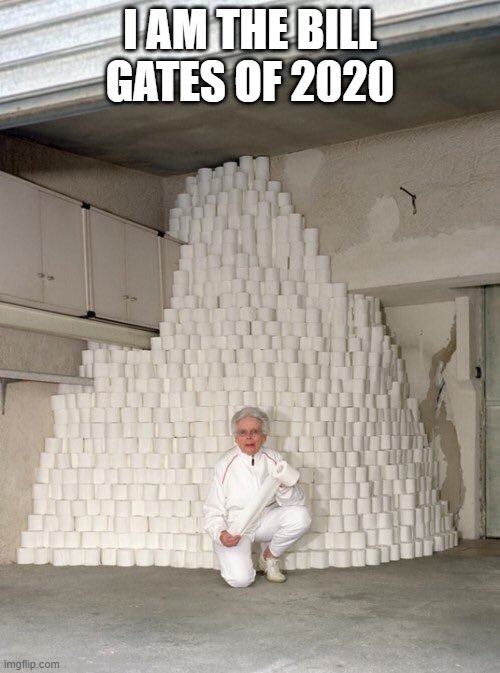 mountain of toilet paper | I AM THE BILL GATES OF 2020 | image tagged in mountain of toilet paper | made w/ Imgflip meme maker